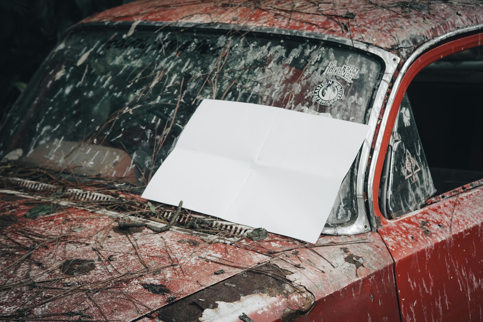Seguro para carros Ford: quanto custa e como economizar